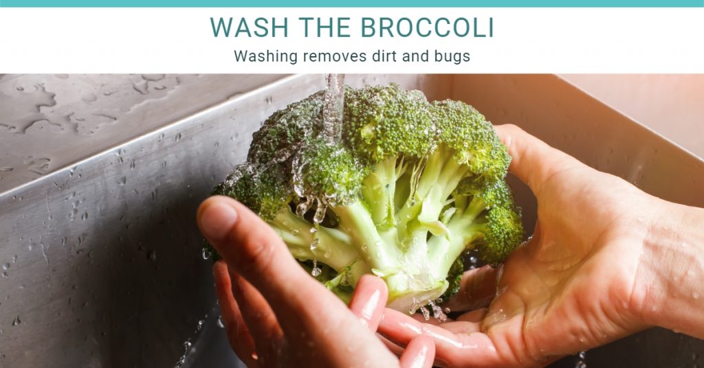 wash the broccoli first