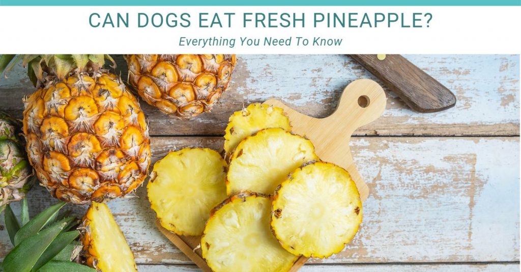 can dogs eat fresh pineapple