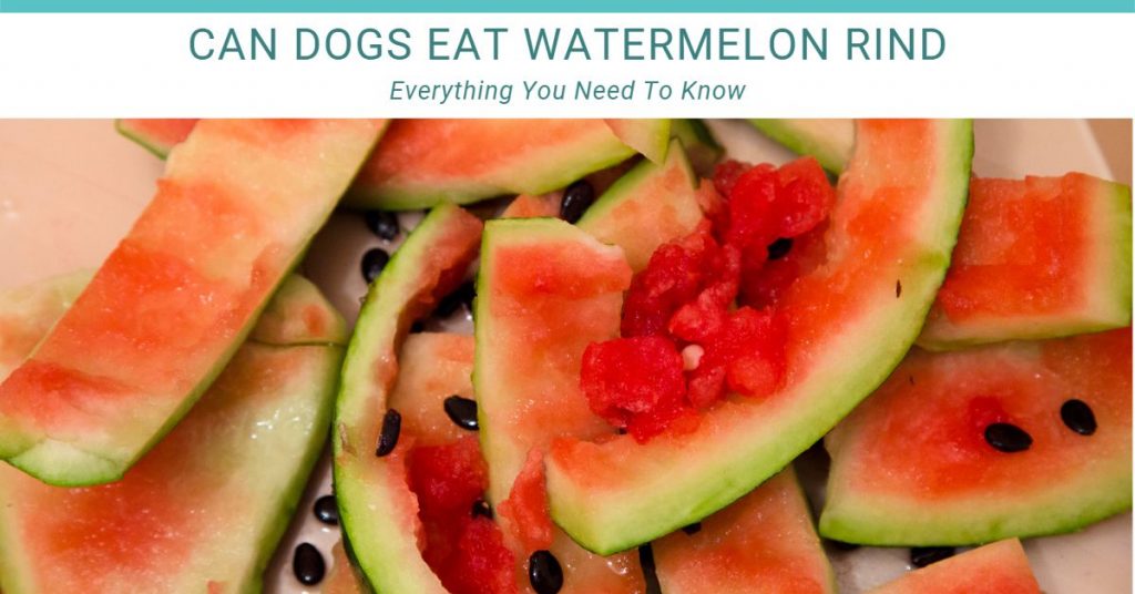 can dogs eat watermelon rind