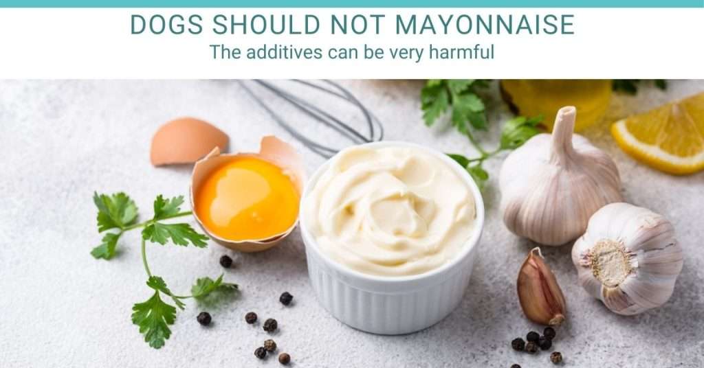 harmful additives in mayo
