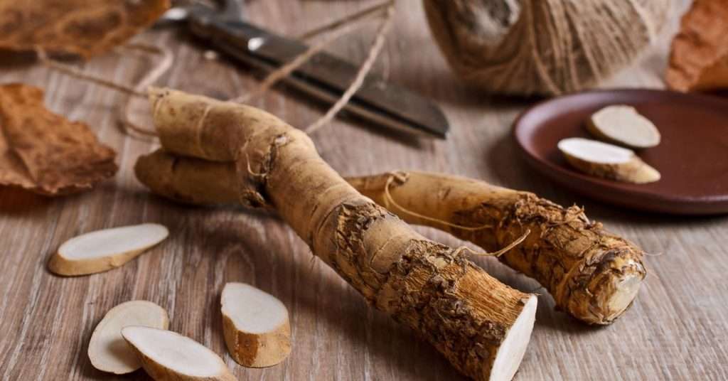 horseradish root on a kitchen table next to a knife. Partially sliced.
