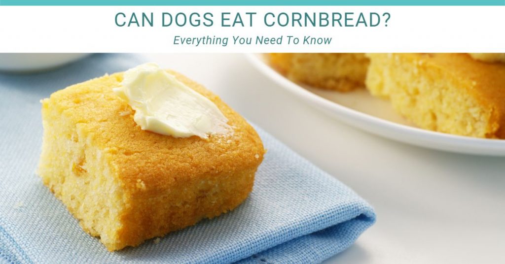 Can dogs eat cornbread?