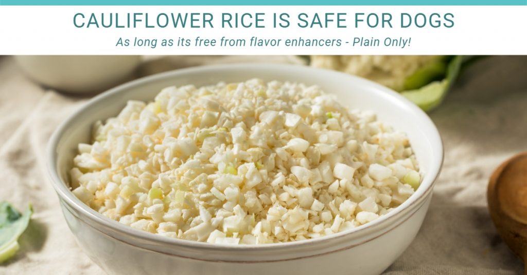 dogs can eat cauliflower rice