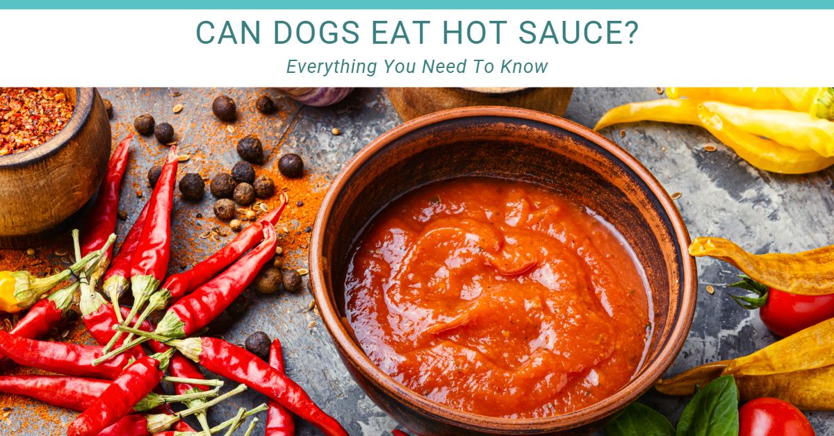 can dogs eat hot sauce?