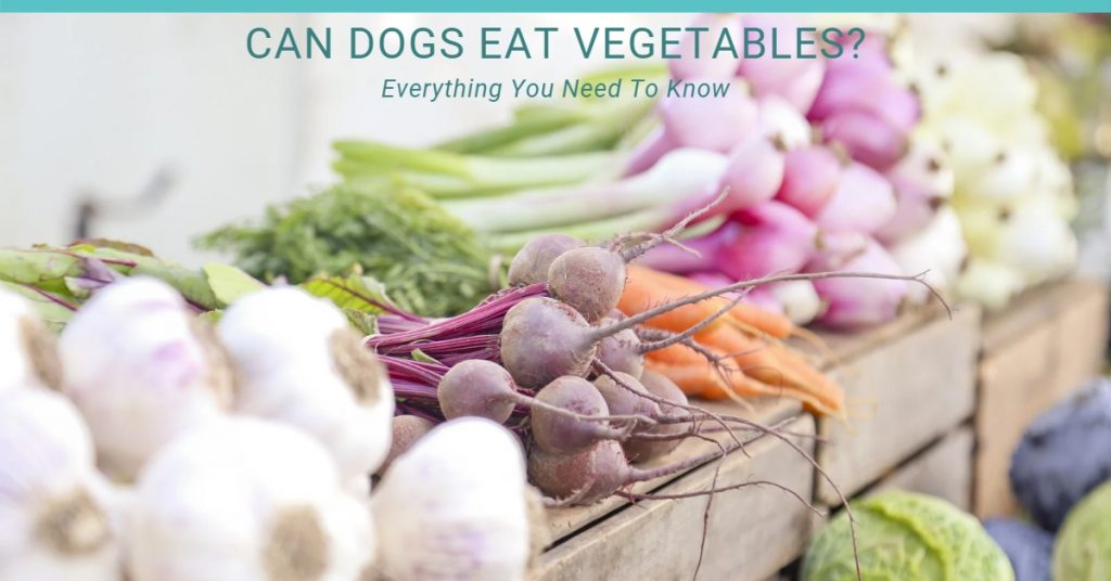 can dogs eat vegetables