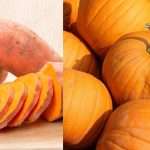 sweet potato or pumpkin has high fiber