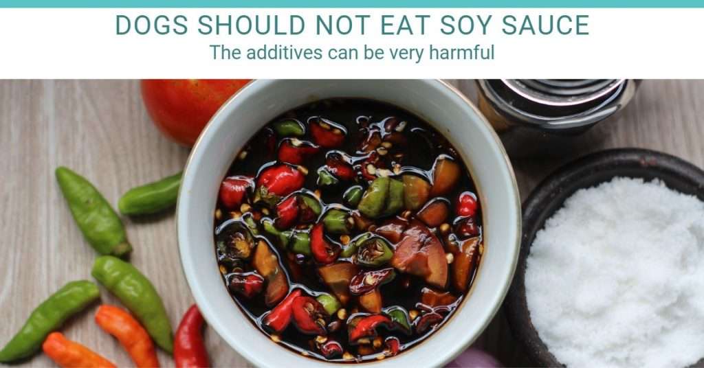 soy sauce additives