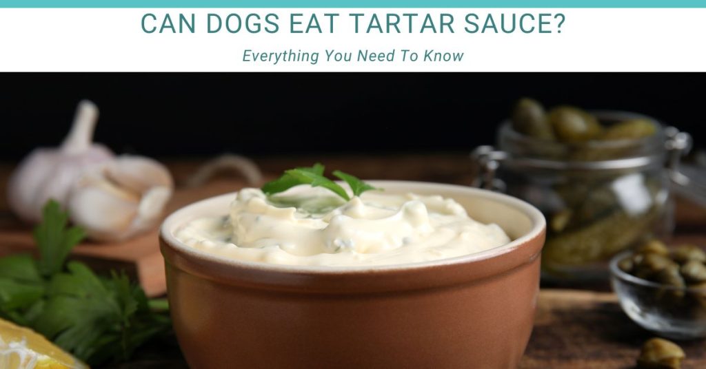 Can Dogs Eat Tartar Sauce?