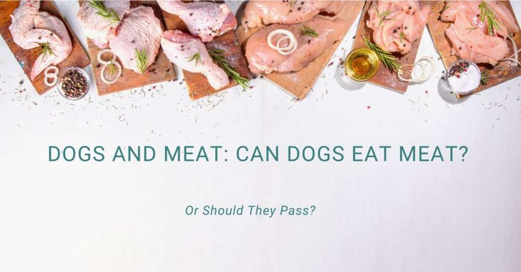Can dogs eat Meat? bunch of chicken on different cutting boards, some have herbs sprinkled on it.