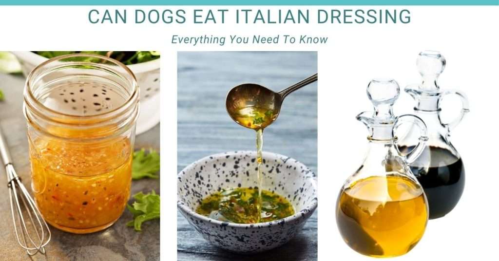 can dogs eat Italian dressing? three versions of italian dressing. On the left is regular Italian Dressing, the middle is more of an oil and herbs dressing, the right one is just plain old oil and vinegar.